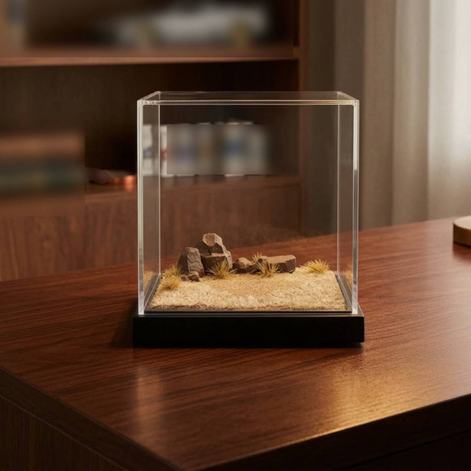 Miniature Scene Platform Clear - огляд і ціна Display Case Acrylic